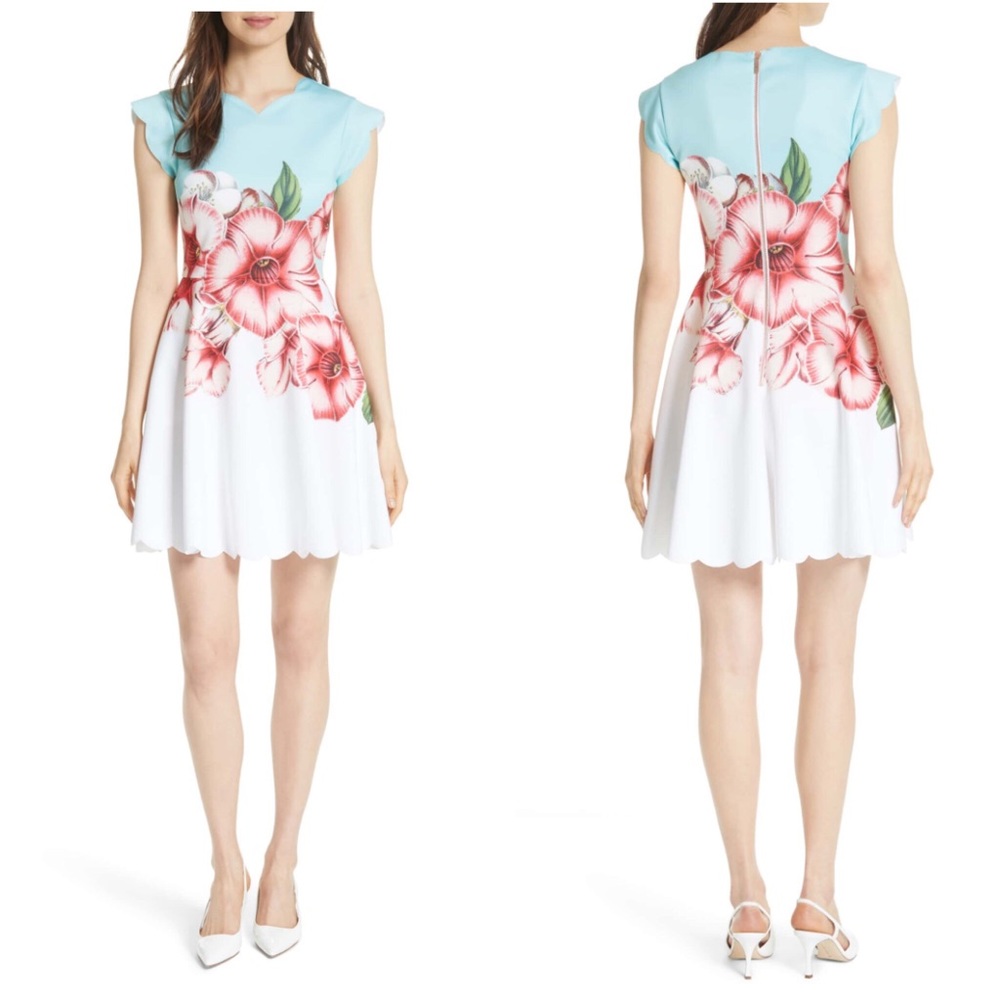 🌟NWT TED BAKER Floral Nectar Fit&Flare Dress